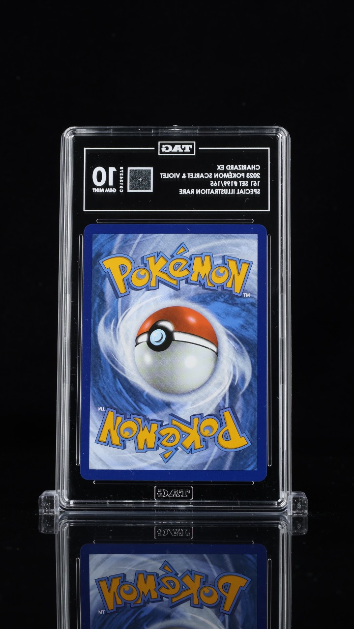 Charizard ex · TAG 10 · back in TAG C9134278